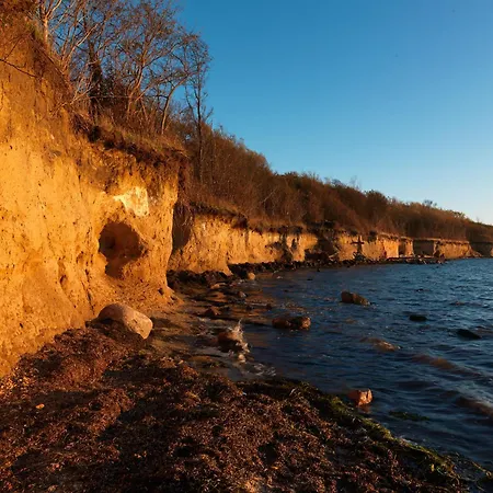 Haus Suedwester Ringelrobbe