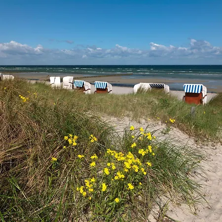 Haus Suedwester Ringelrobbe アパート インゼル・ペール