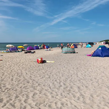 Haus Suedwester Ringelrobbe * インゼル・ペール